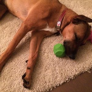 Meet your Posher, Laura